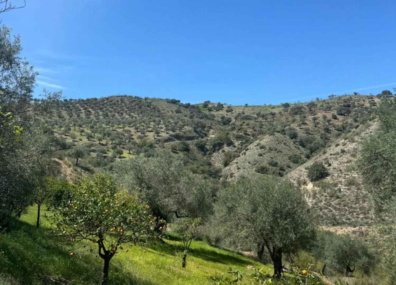 Santa Teresa Bed & Breakfast Andalusien Pizarra