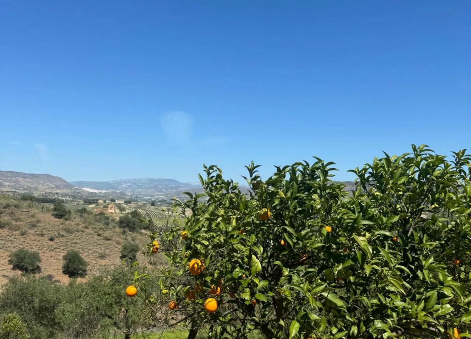Santa Teresa Bed & Breakfast Andalusien Pizarra