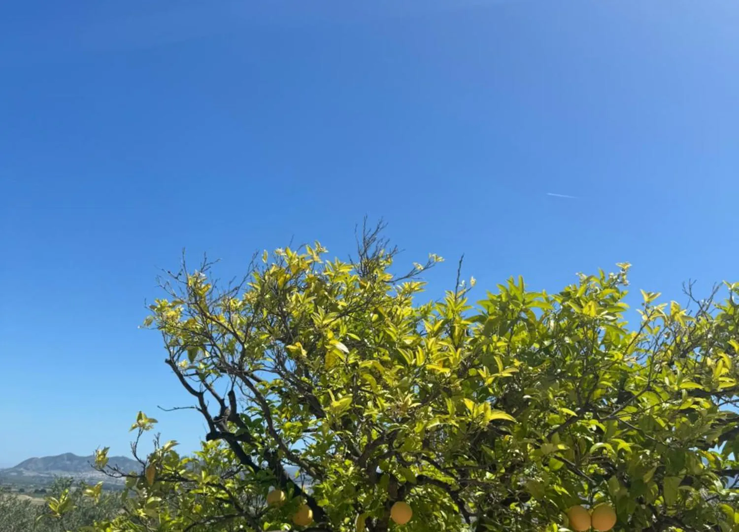 Santa Teresa Bed & Breakfast Andalusien Pizarra