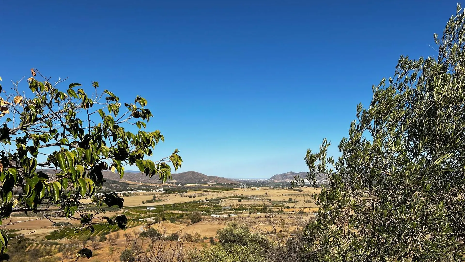 Santa Teresa Bed & Breakfast Andalusien Pizarra